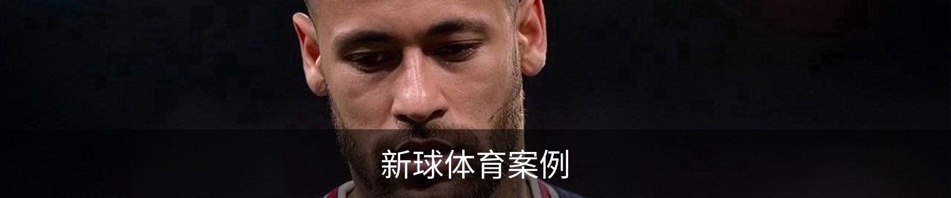 新球体育案例