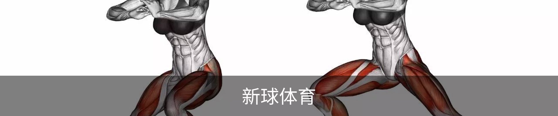 新球体育