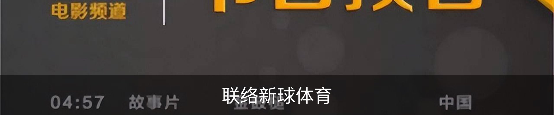 联络新球体育